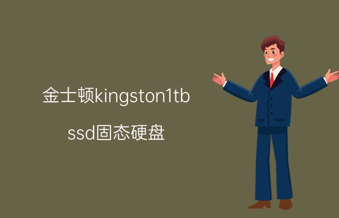 金士顿kingston1tb ssd固态硬盘 西数和金士顿固态硬盘哪个耐用？